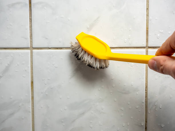 Best Health and Safety Mold Remediation in Byron, MN