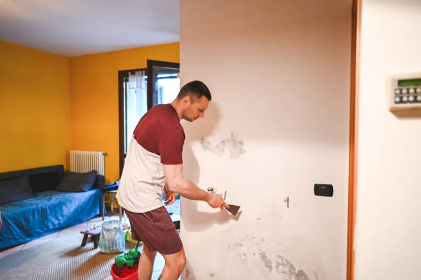 Best Post-Flood Mold Remediation in Byron, MN